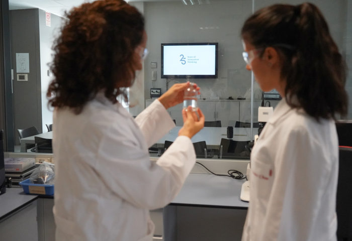 two chemists look at polymer sample in the laboratory